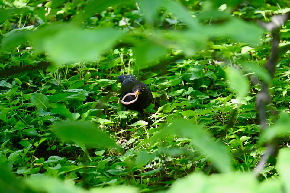 Resuming my photography hobby!